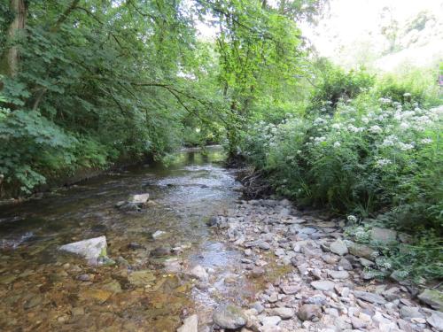 1.-Downstream-from-Larcombe-Foot-27