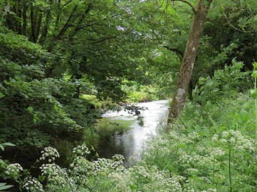 1.-Downstream-from-Larcombe-Foot-3