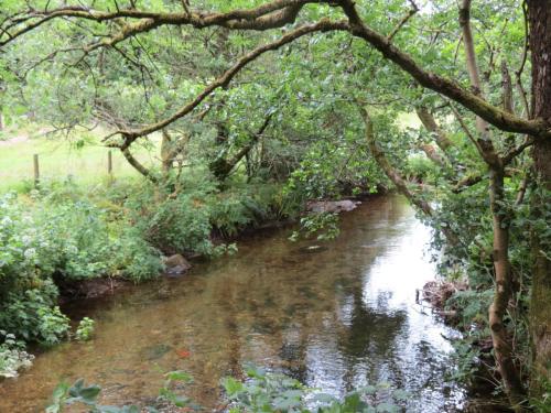 1.-Downstream-from-Larcombe-Foot-4