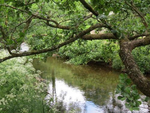 1.-Downstream-from-Larcombe-Foot-5