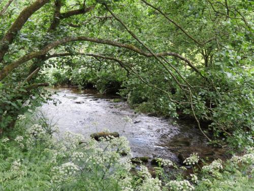 1.-Downstream-from-Larcombe-Foot-7