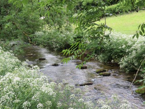 1.-Downstream-from-Larcombe-Foot-8