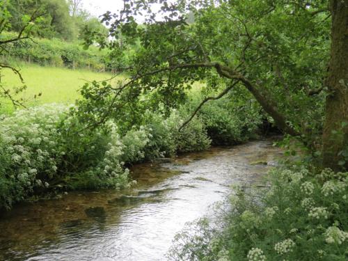 1.-Downstream-from-Larcombe-Foot-9