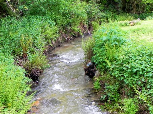 1.-Downstream-from-Pitt-Mill-2