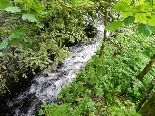 1.-Downstream-from-ROW-Bridge-2807-2