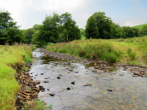1.-Downstream-from-Sparcombe-Water-12