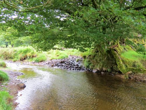 1.-Downstream-from-Sparcombe-Water-8