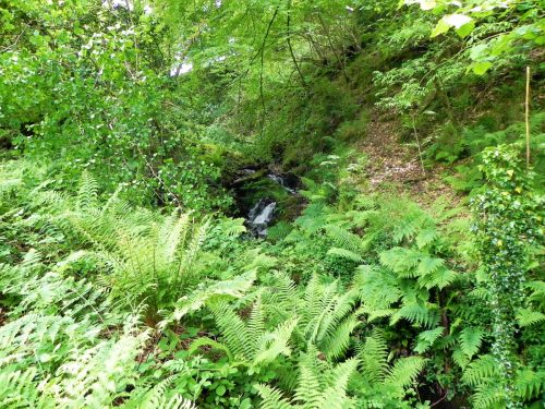 1.-Downstream-from-Stock-Hill-10