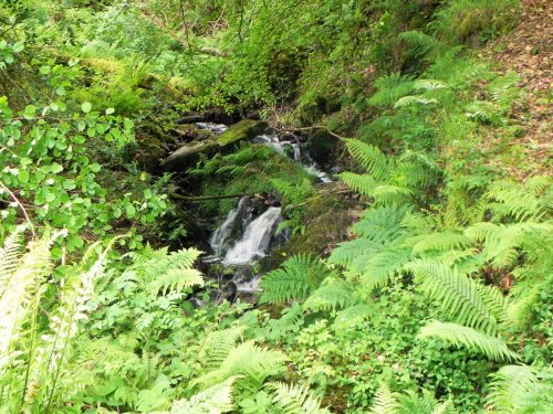 1.-Downstream-from-Stock-Hill-11