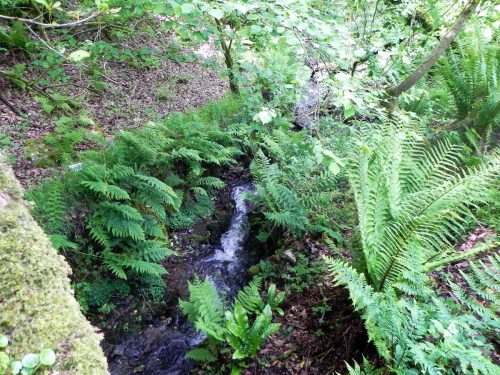 1.-Downstream-from-Stock-Hill-12