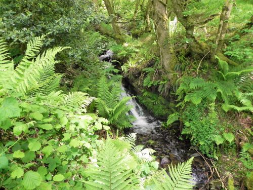 1.-Downstream-from-Stock-Hill-13