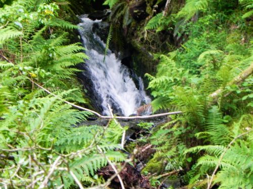 1.-Downstream-from-Stock-Hill-14