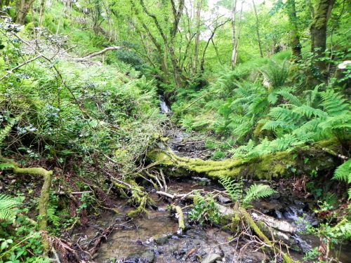 1.-Downstream-from-Stock-Hill-15