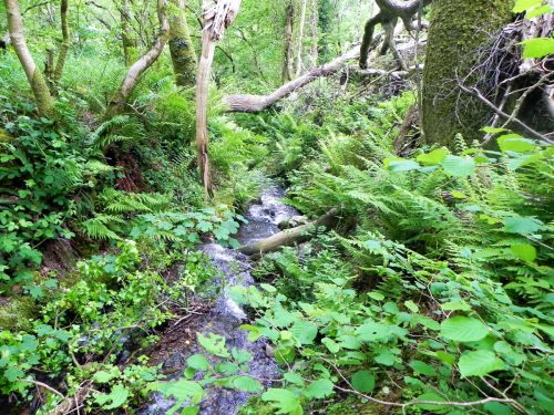 1.-Downstream-from-Stock-Hill-16