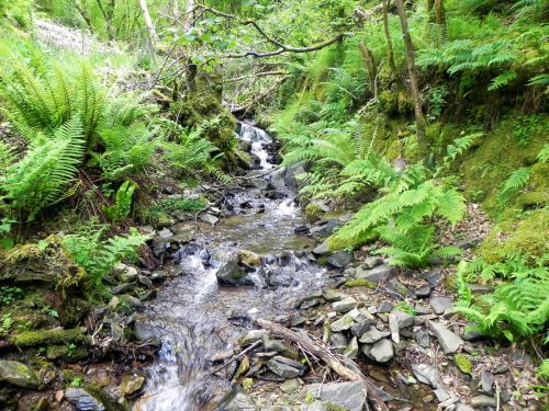 1.-Downstream-from-Stock-Hill-17