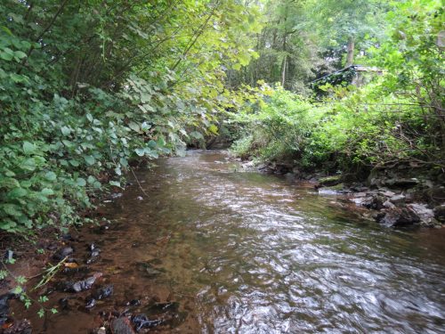 1.-Downstream-from-Waterrow-Bridge