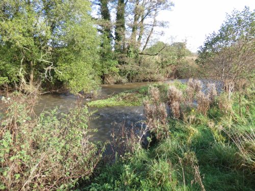 1.-Downstream-frome-Tonedale-1