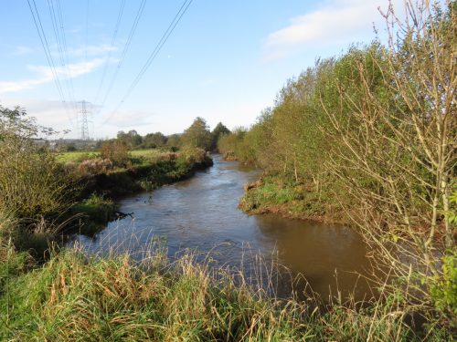 1.-Downstream-frome-Tonedale-2