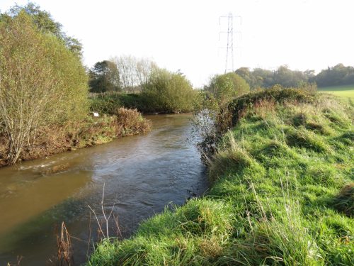 1.-Downstream-frome-Tonedale-3