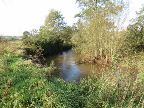 1.-Downstream-frome-Tonedale-4