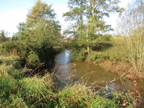 1.-Downstream-frome-Tonedale-5