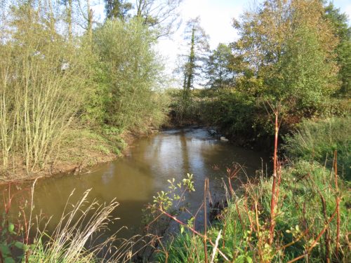 1.-Downstream-frome-Tonedale-6