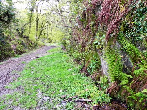 1.-Flowing-down-the-incline-19