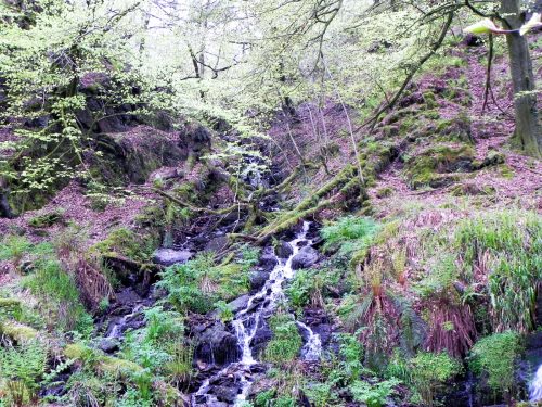 1.-Flowing-down-the-incline-26