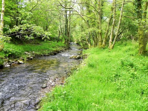 1.-Flowing-through-Radsbury-Copse