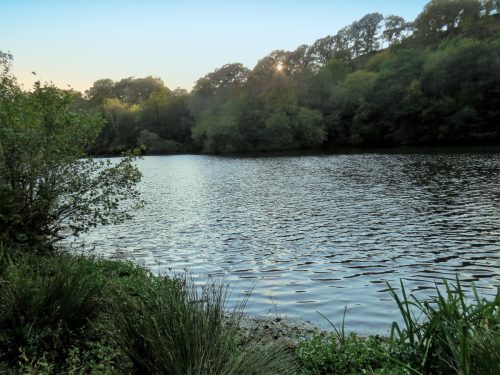 1.-Kentshill-Pond-11