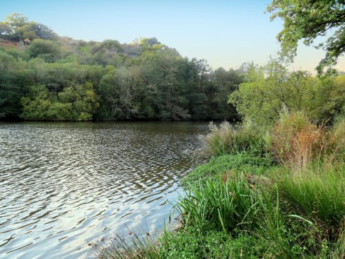 1.-Kentshill-Pond-12