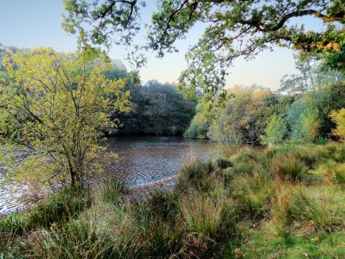 1.-Kentshill-Pond-13