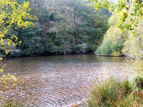 1.-Kentshill-Pond-14