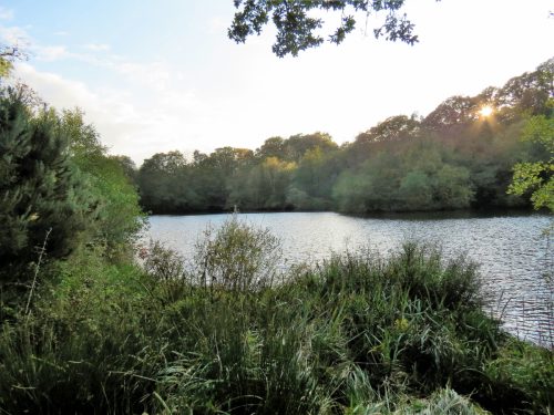 1.-Kentshill-Pond-15