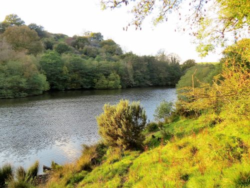 1.-Kentshill-Pond-16