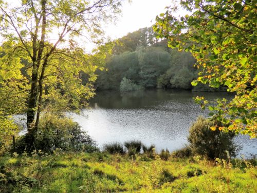 1.-Kentshill-Pond-17