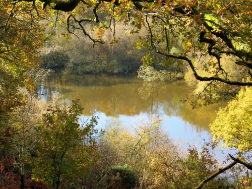 1.-Kentshill-Pond-18