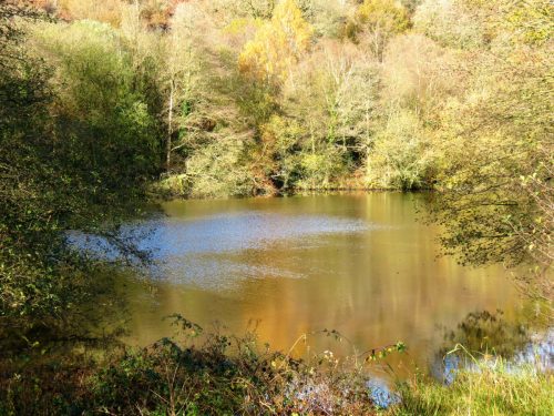 1.-Kentshill-Pond-19