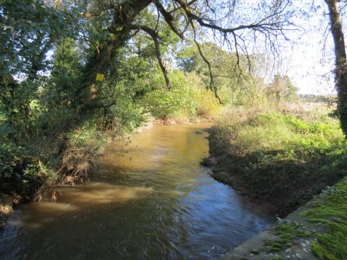 1.-Looking-downstream-from-Hornshay-Bridge