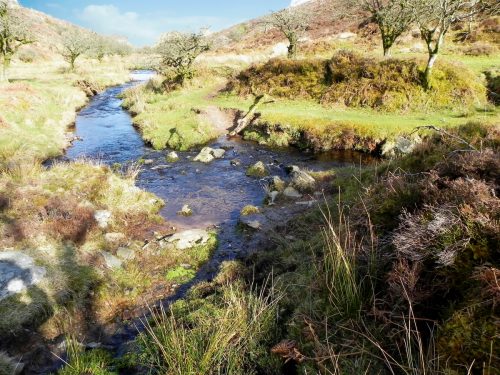 1.-Looking-downstream-from-confluence-with-Embercombe-Water-2