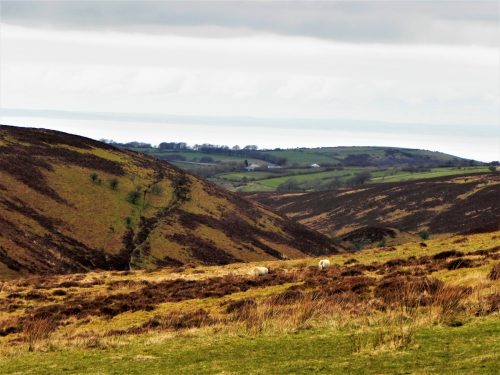 1.-Looking-to-Farley-Water-Farm-from-Hoar-Tor-3