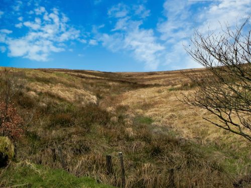 1.-Looking-up-to-source-on-Comerslade-2