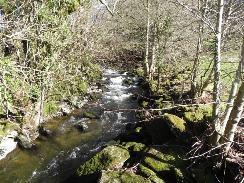1.-Looking-upstream-from-Alderford-Bridge