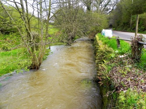 1.-Looking-upstream-from-Langridge-Mills-2