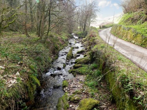 1.-Looking-upstream-from-ROW-bridge-3189-2