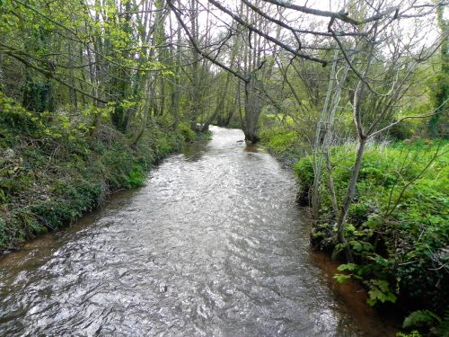 1.-Looking-upstream-from-ROW-footbridge-No.-4789-2