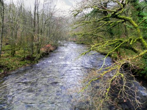 1.-Looking-upstream-from-Thorners-Bridge-2