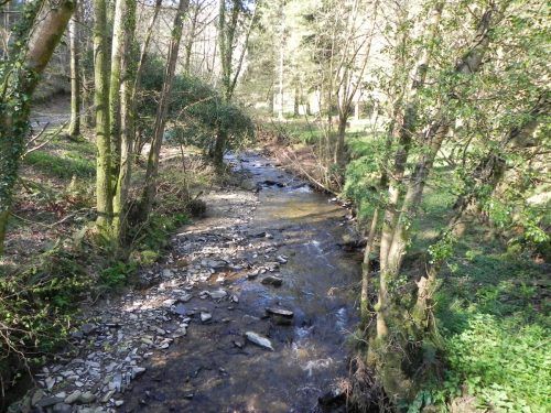 1.-Looking-upstream-from-Trentishoe-Bridge