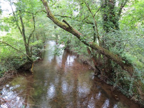 1.-Looking-upstream-from-Tucks-Bridge