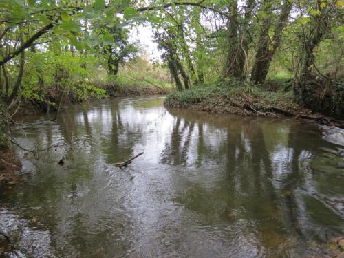 1.-Looking-upstream-from-Wellisford-Manor-Weir